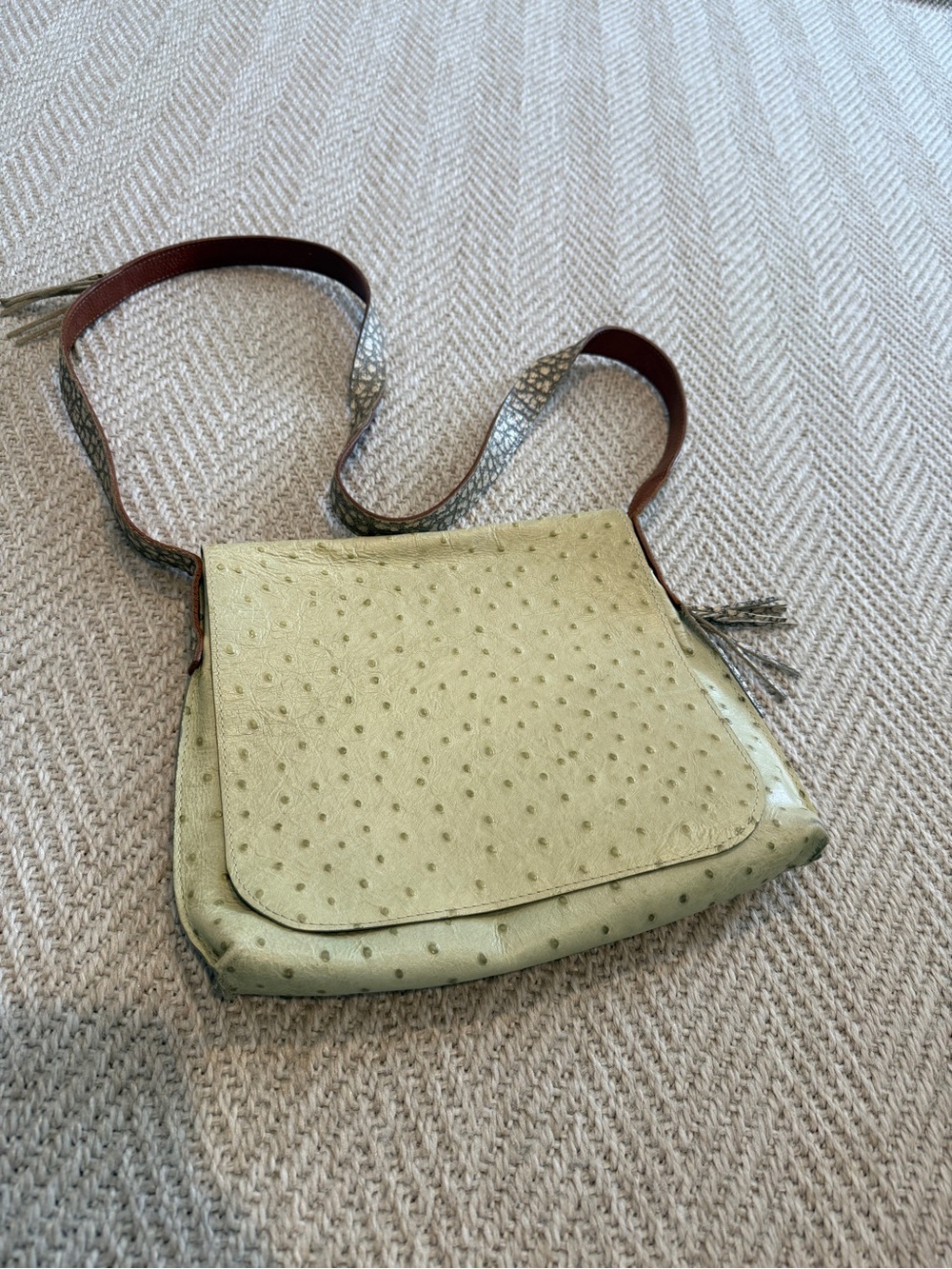 Beautiful B. May Women's Mint Green Crossbody Bag with Textured Strap